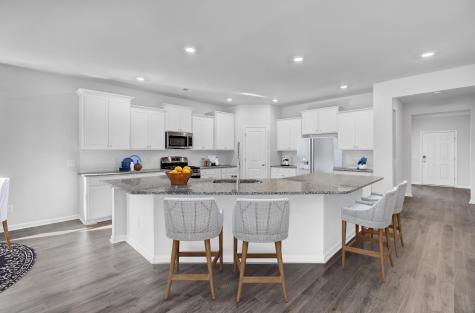 1014 Red Turnstone Run Summerville SC 29485