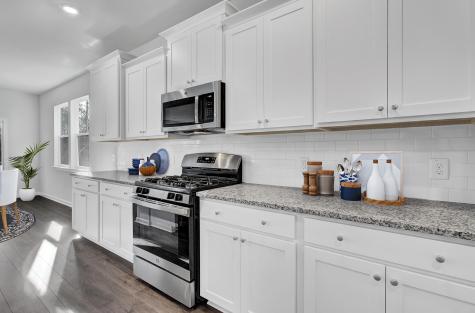 1014 Red Turnstone Run Summerville SC 29485
