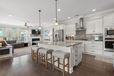 174 Callibluff Drive Summerville SC 29486