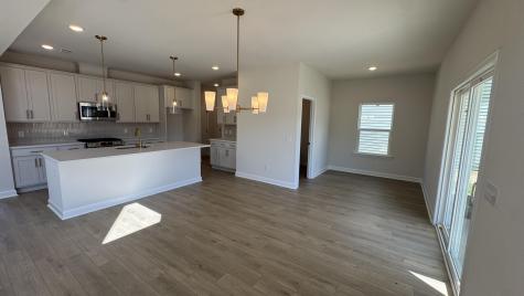 5360 Crinum Lilly Drive Summerville SC 29485