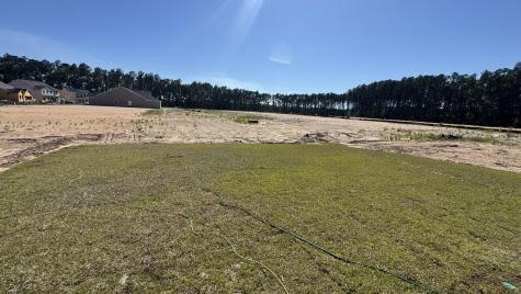 5360 Crinum Lilly Drive Summerville SC 29485