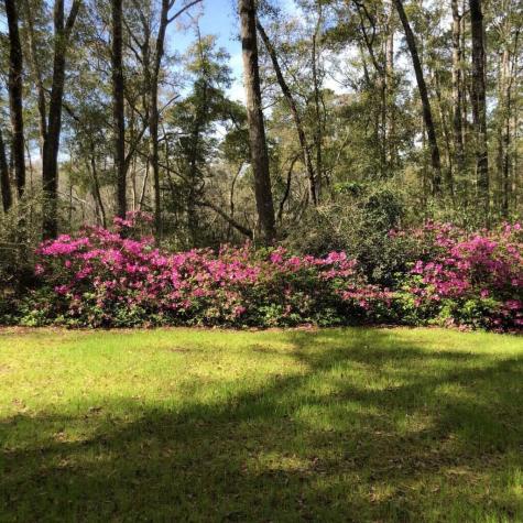 4150 Nature View Circle Johns Island SC 29455