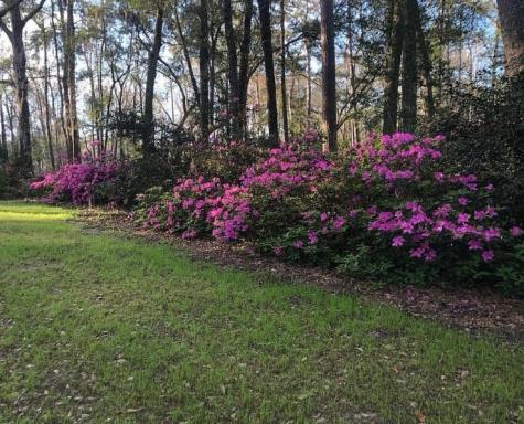 4150 Nature View Circle Johns Island SC 29455