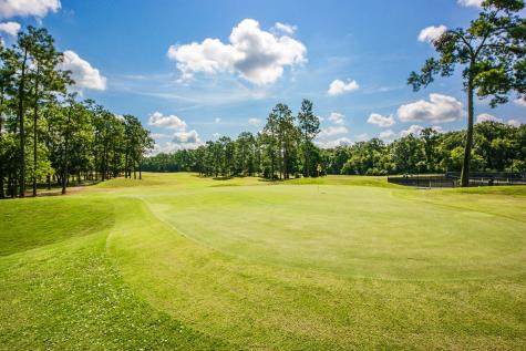 2001 Baltusrol Court Summerville SC 29483