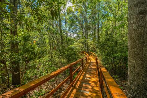 264 Fair Sailing Road Mount Pleasant SC 29466