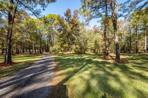 5950 Lowell Reed Road Ravenel SC 29470