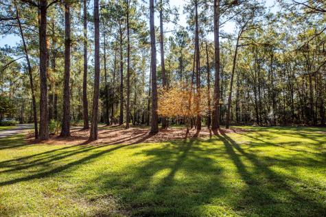 5950 Lowell Reed Road Ravenel SC 29470