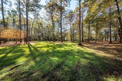 5950 Lowell Reed Road Ravenel SC 29470