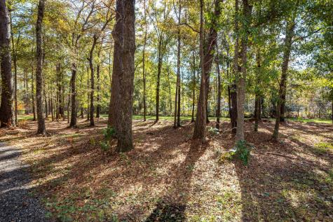 5950 Lowell Reed Road Ravenel SC 29470