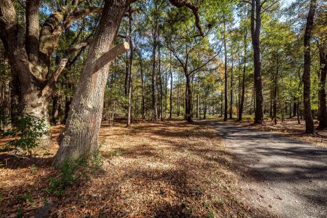 5950 Lowell Reed Road Ravenel SC 29470