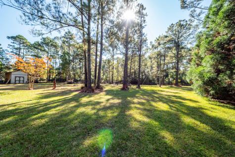 5950 Lowell Reed Road Ravenel SC 29470