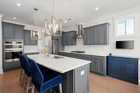 1171 Elliotts Cut Drive Charleston SC 29412