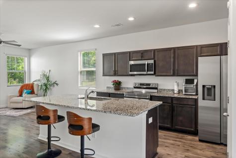 1056 Berry Patch Circle Summerville SC 29485