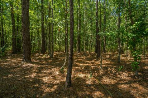 2080 Kings Gate Lane Mount Pleasant SC 29466