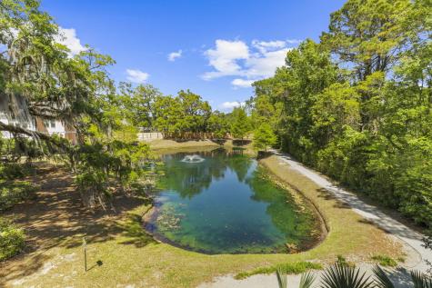 1925 Chatelain Way Mount Pleasant SC 29464