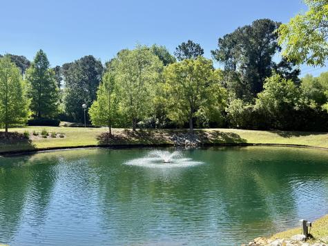 1925 Chatelain Way Mount Pleasant SC 29464
