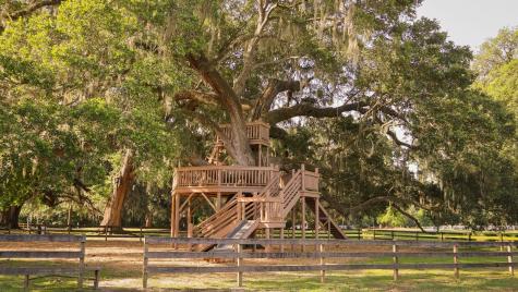 120 Westoe Street Summerville SC 29483
