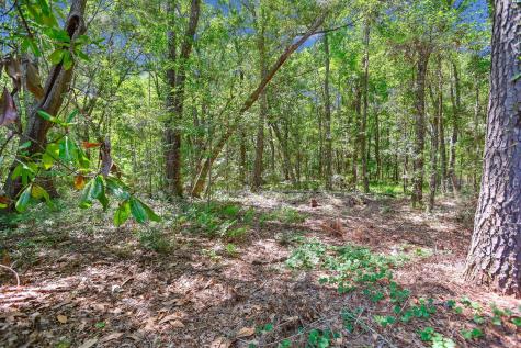 2458 Audette Avenue Johns Island SC 29455
