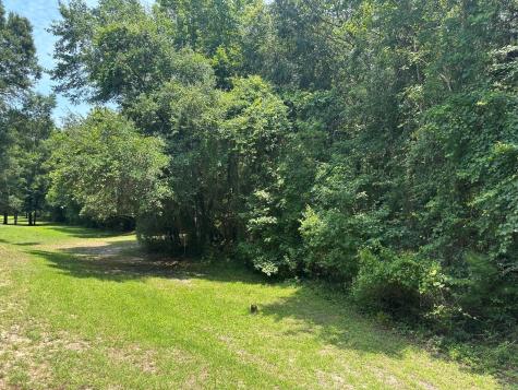 2858 Woodland Park Drive Mount Pleasant SC 29466
