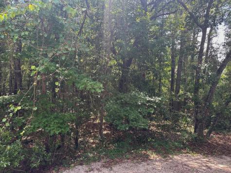 2858 Woodland Park Drive Mount Pleasant SC 29466