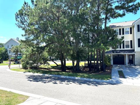 2858 Woodland Park Drive Mount Pleasant SC 29466
