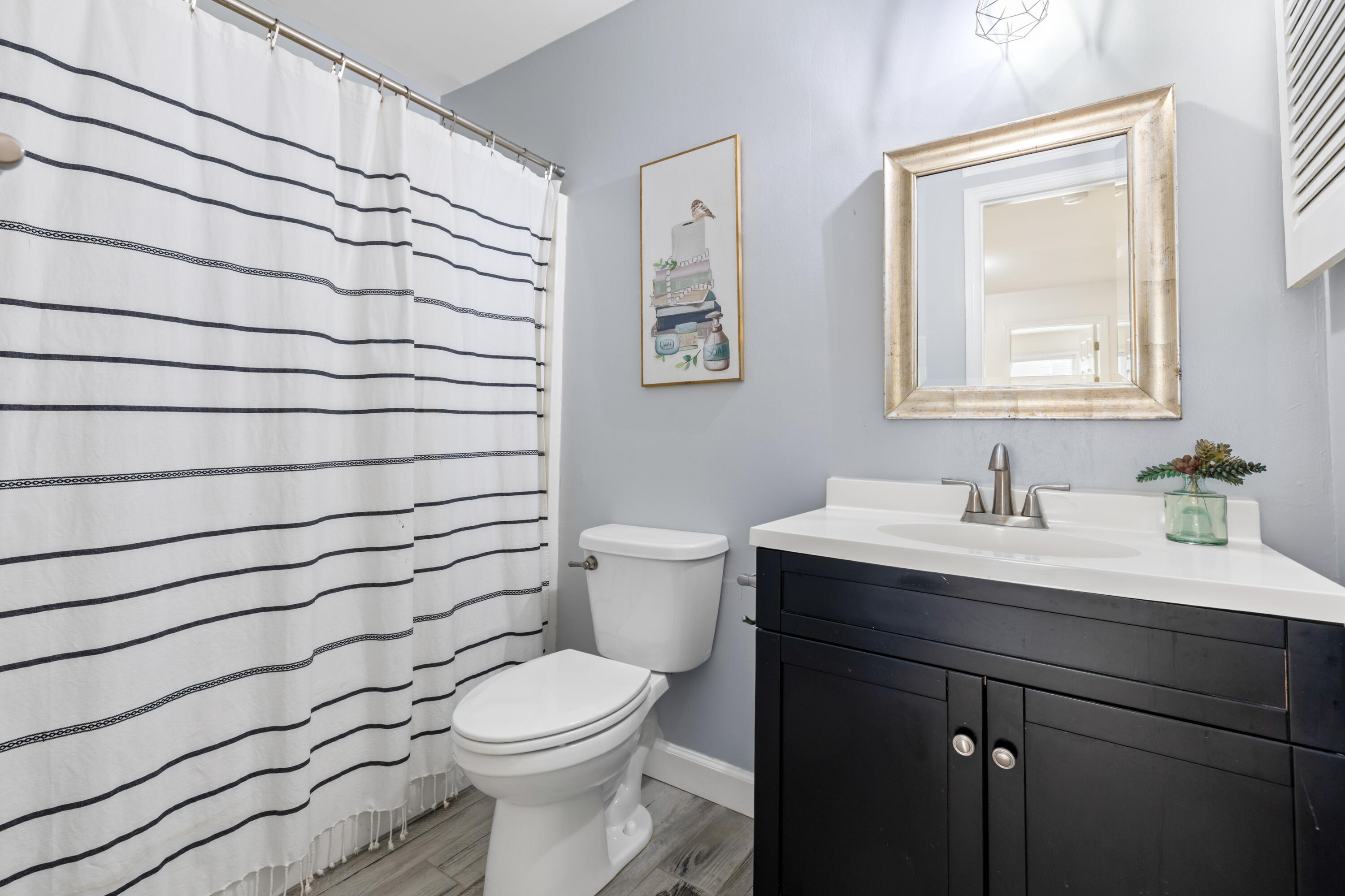 1151 Black Rush Circle Mount Pleasant SC 29466