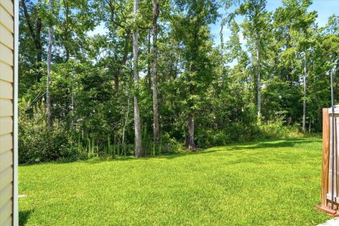 523 Green Fern Drive Summerville SC 29483