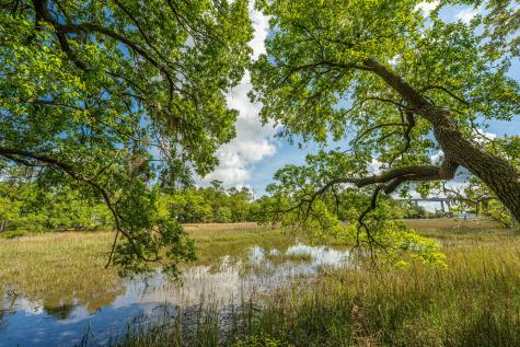 130 River Landing Drive Charleston SC 29492
