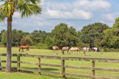 1990 Marsh Oak Lane Seabrook Island SC 29455