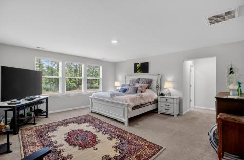 328 Firewheel Court Summerville SC 29486