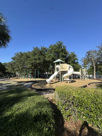 325 Jardinere Walk Mount Pleasant SC 29464