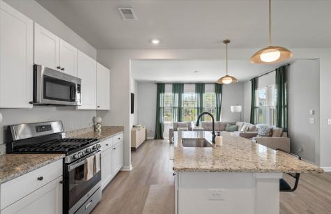 135 Pine Gate Drive Summerville SC 29483