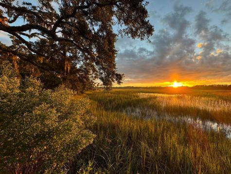 3398 Freeman Hill Road Johns Island SC 29455