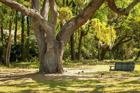 3398 Freeman Hill Road Johns Island SC 29455