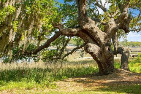 3398 Freeman Hill Road Johns Island SC 29455