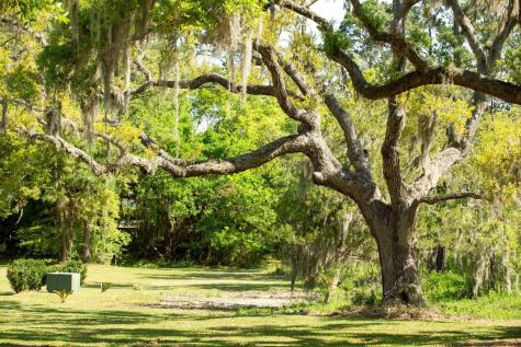 3398 Freeman Hill Road Johns Island SC 29455