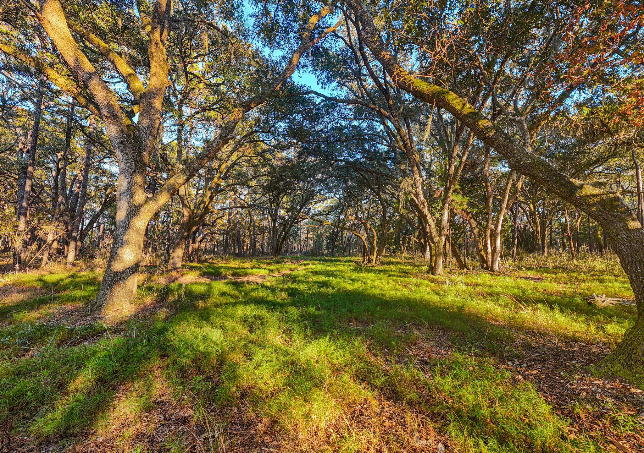 0 King Rail Lane Edisto Island SC 29438