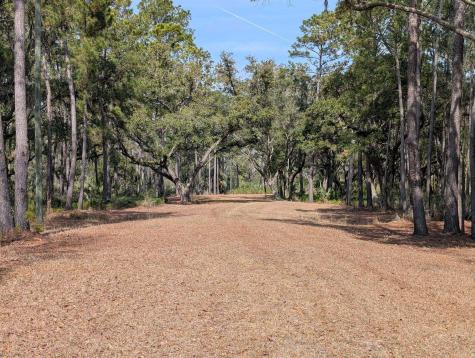 0 King Rail Lane Edisto Island SC 29438