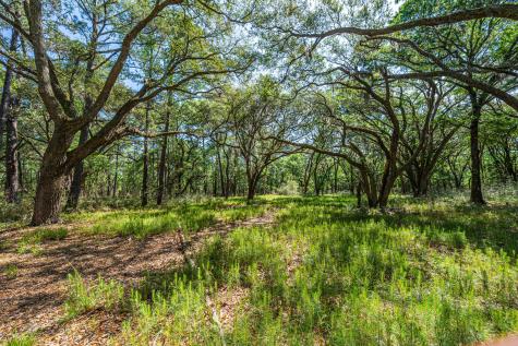 0 King Rail Lane Edisto Island SC 29438