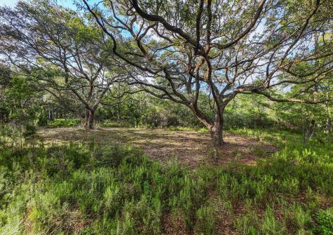 0 King Rail Lane Edisto Island SC 29438