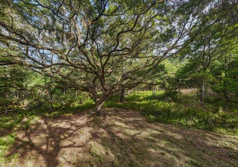 0 King Rail Lane Edisto Island SC 29438