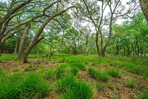 0 King Rail Lane Edisto Island SC 29438