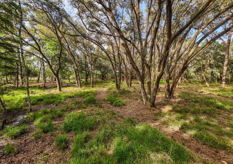 0 King Rail Lane Edisto Island SC 29438