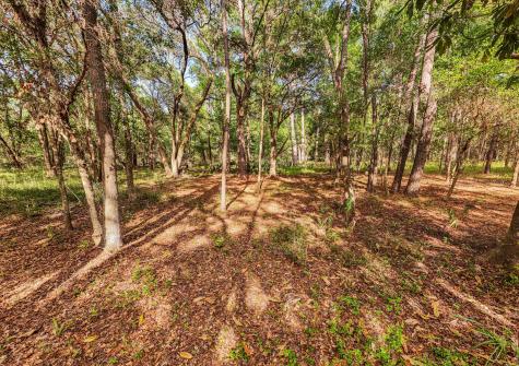 0 King Rail Lane Edisto Island SC 29438