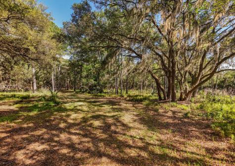 0 King Rail Lane Edisto Island SC 29438