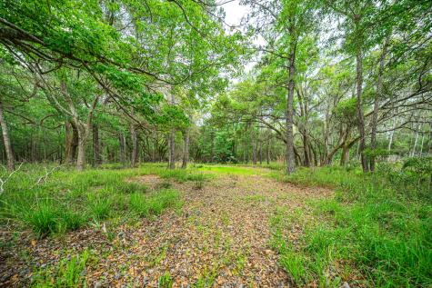 0 King Rail Lane Edisto Island SC 29438