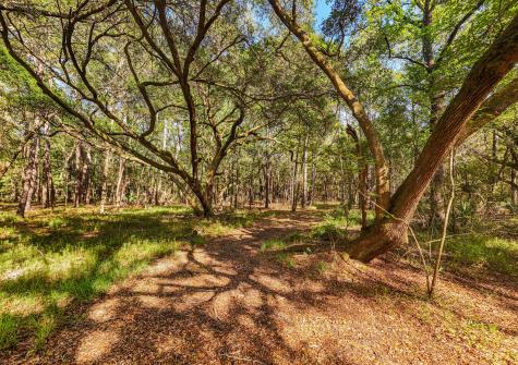0 King Rail Lane Edisto Island SC 29438