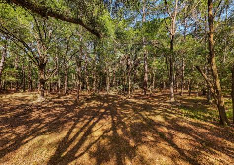 0 King Rail Lane Edisto Island SC 29438