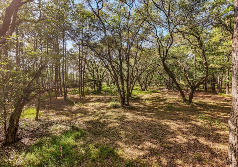 0 King Rail Lane Edisto Island SC 29438
