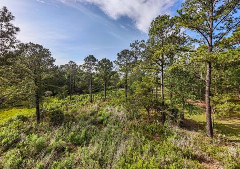 0 King Rail Lane Edisto Island SC 29438